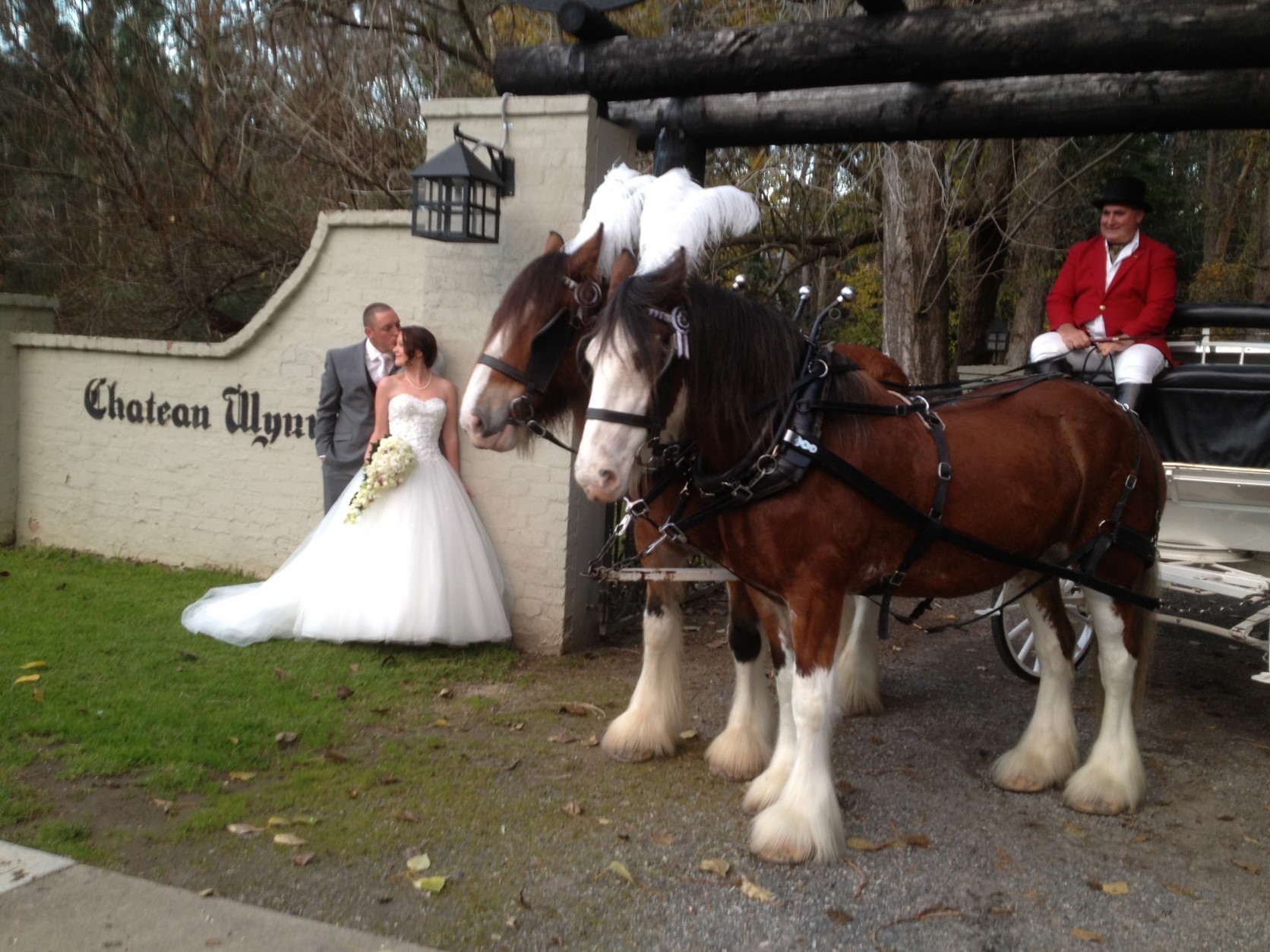 weddings - horse drawn carriages