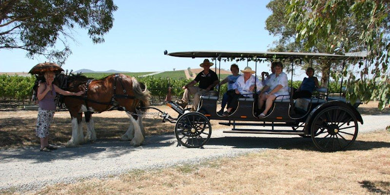 horse wine tours