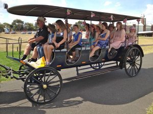 Kids Party Horse Carriage