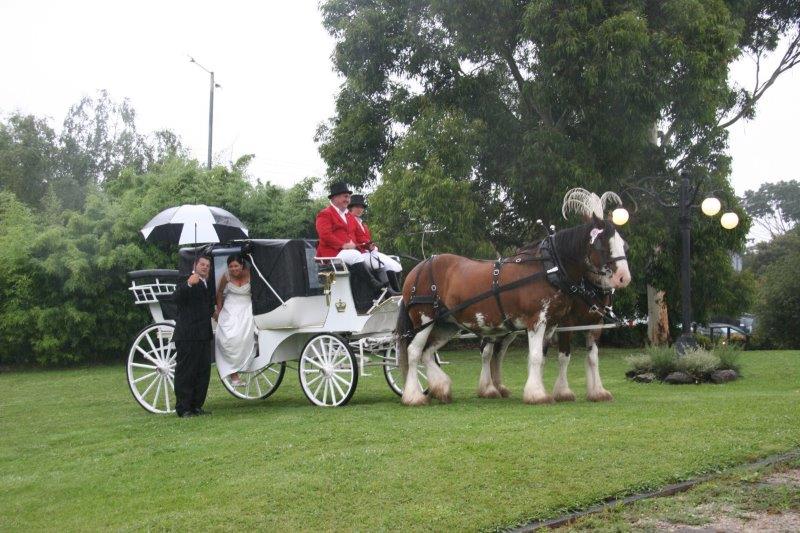 All Smiles Wedding Reception Horse Drawn Carriage