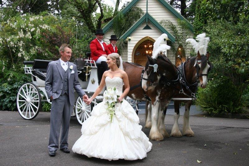 Bramleigh Estate Wedding Reception Horse Drawn Carriage