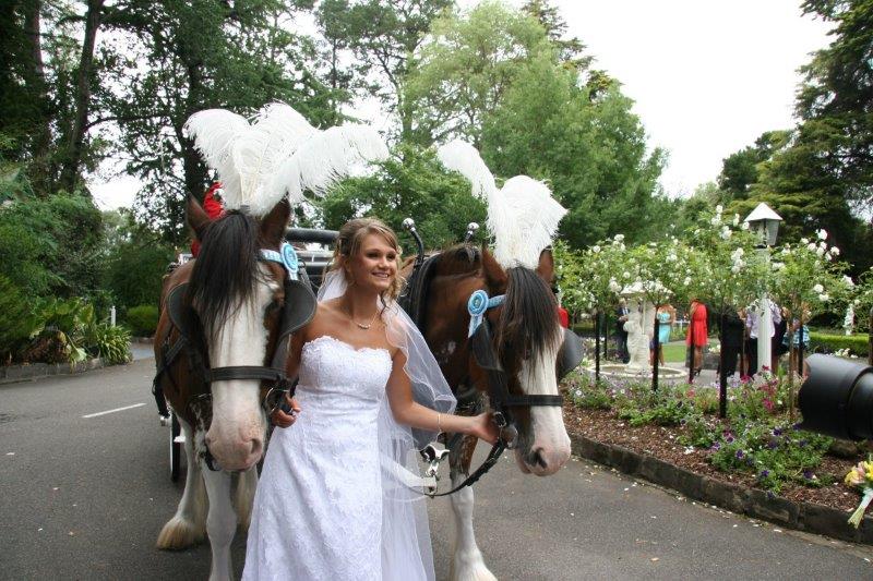 Bramleigh Estate Wedding Reception Horse Drawn Carriage