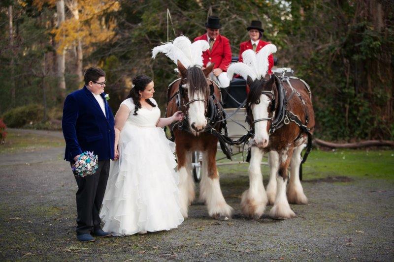 Chateau Wyuna Wedding Reception Horse Drawn Carriage