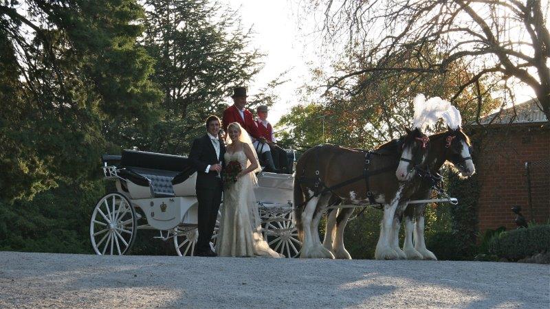 Home Weddings Horse Drawn Carriage