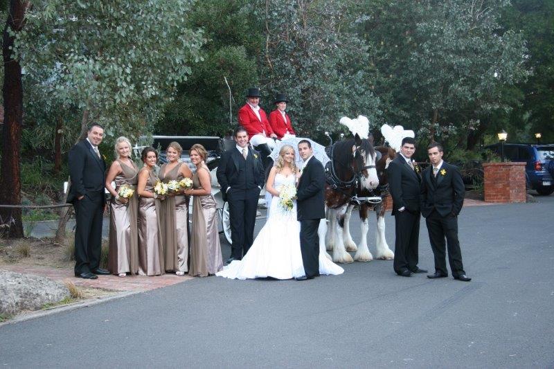 Potters Wedding Reception Horse Drawn Carriage