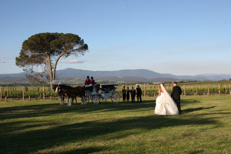Stones Of The Yarra Valley Weddings Horse Drawn Carriage