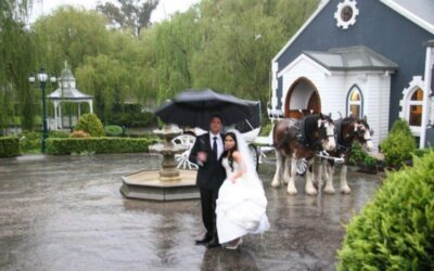 Ballara Receptions Horse Drawn Carriage